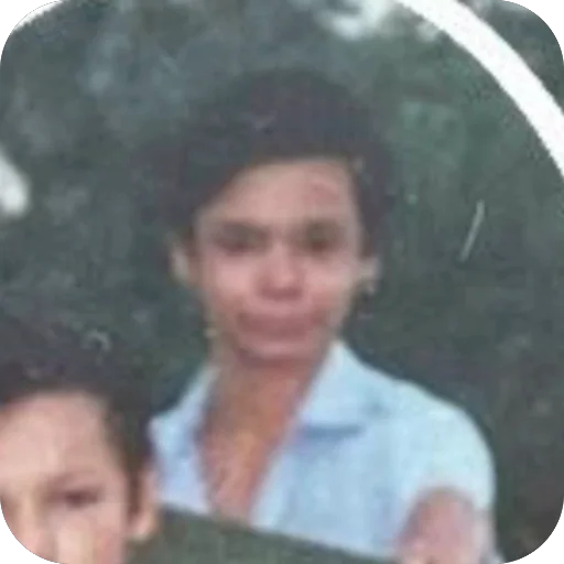 сегим сектем рди - 