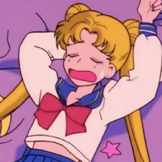 Sticker Seilor Moon 💝 - 6