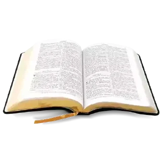 Sticker @Semeandoempalavras - 5