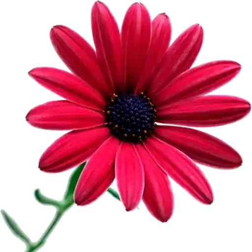 Sticker @Semeandoempalavras - 9