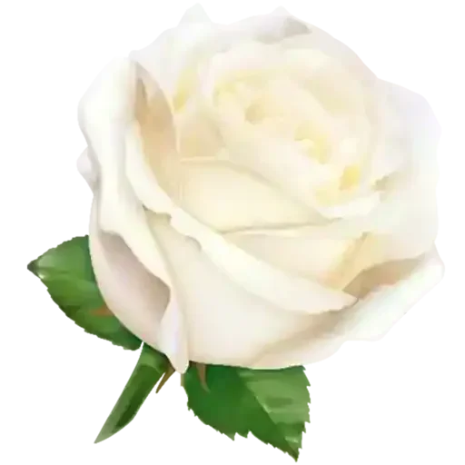 Sticker @Semeandoempalavras - 6