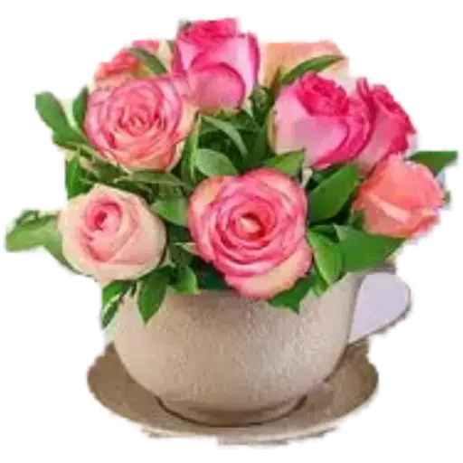 Sticker @Semeandoempalavras - 0