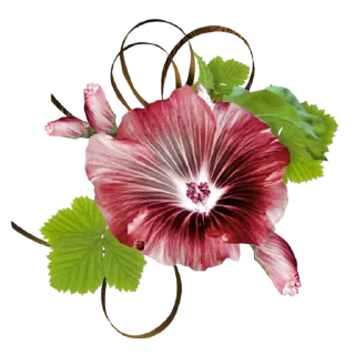 Sticker @Semeandoempalavras - 4