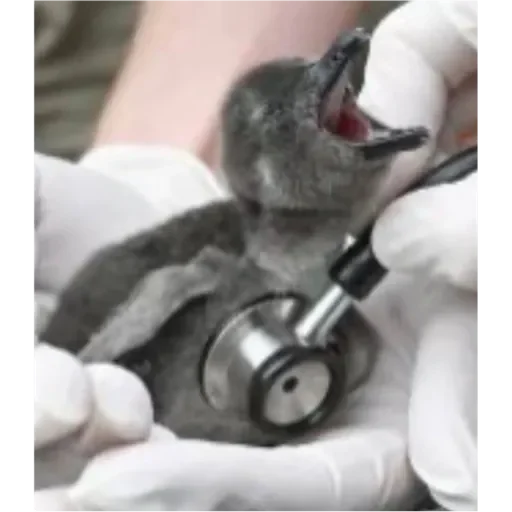 На случай переговоров - 