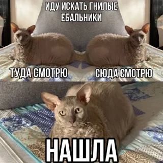 Стикер На случай переговоров - 4