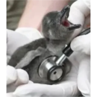 Стикер На случай переговоров - 7