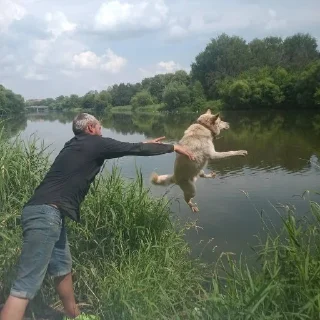 Стикер На случай переговоров - 6