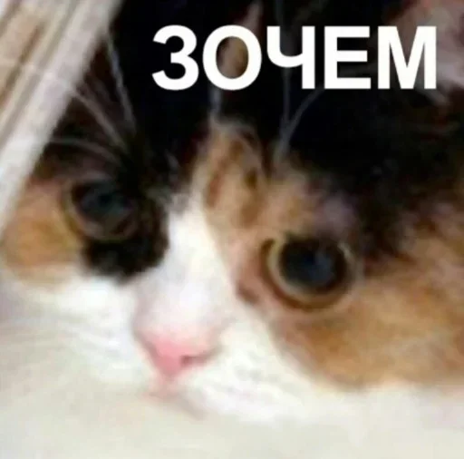 Sticker Семейные блат by @fStikBot - 1