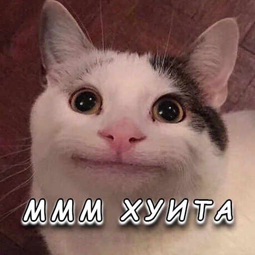 Sticker Семпая , я потекла @sempaiyap - 3