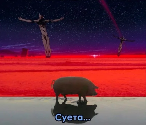 ice skating person outdoor