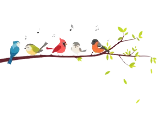 Sticker Separator @stickersb2b - 5