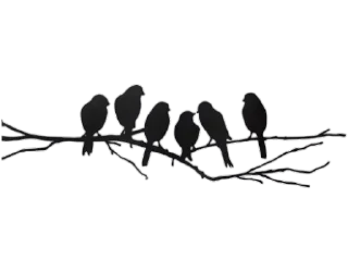 Sticker Separator @stickersb2b - 10