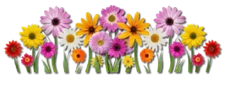 Стикер Separadores - 8