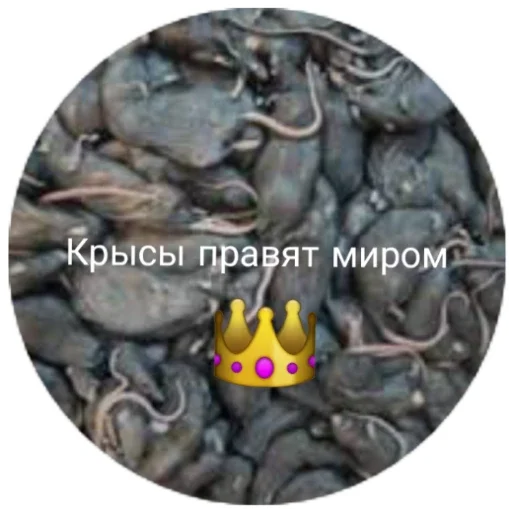 Sticker SerayaKrysyatnya - 1