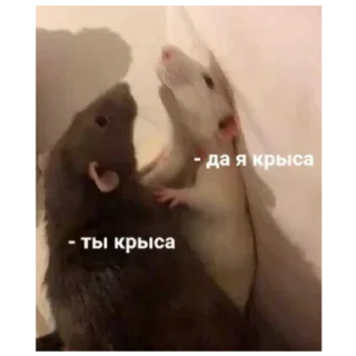 Sticker Серая Крысятня - 11