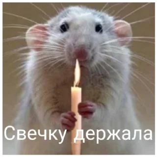 Sticker Серая Крысятня - 0