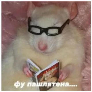 Sticker Серая Крысятня - 8