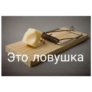 Sticker Серая Крысятня - 6