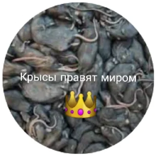 Sticker Серая Крысятня - 9