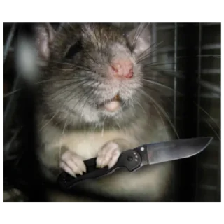 Sticker Серая Крысятня - 7