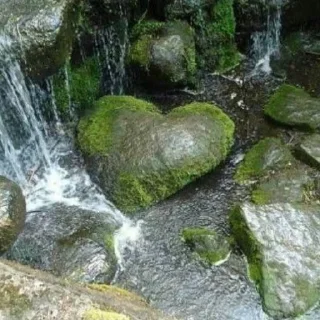 Sticker Стикерпак https://t.me/Quiet_place0 - 11