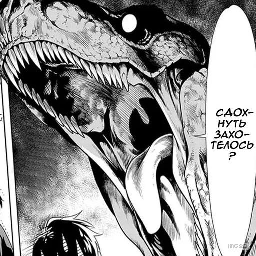 Seton_Academy @IMG2D - 