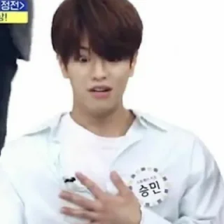 Стикер Ким Сынмин от WOOTOMI - 8