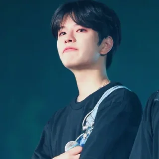 Стикер Seungminnie💕🐶 - 6