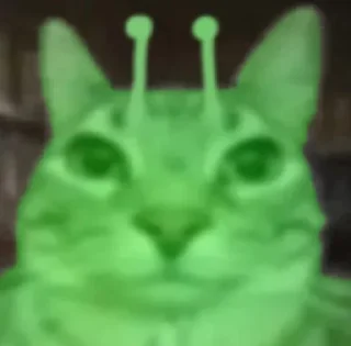 Sticker SevenSigmaCat @TgEmodziBot - 1