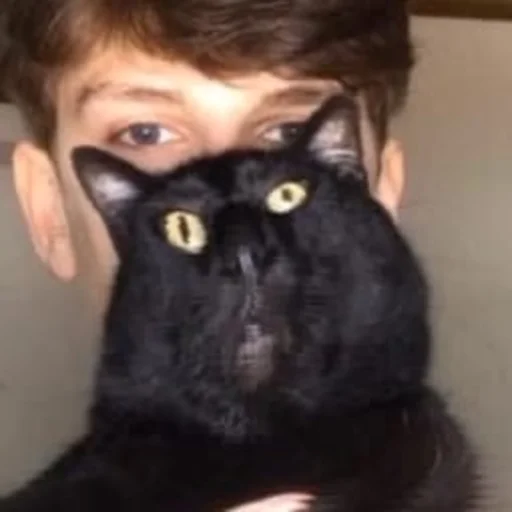 mammal animal person