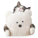 кошка животное мех