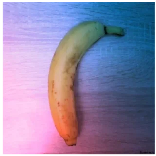 Стикер Sezonersc - 1