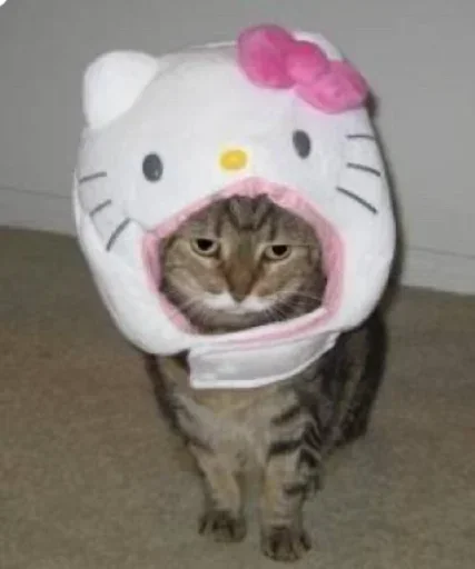 Sticker SfhylJDddzxUFUqfb_by_stickers_stealer_bot - 1