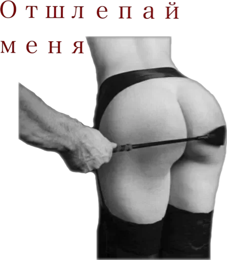 одежда Человек предмет нижнего белья