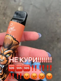 Sticker настя няша топ @Tgthemesrobot - 7