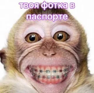Sticker настя няша топ @Tgthemesrobot - 9