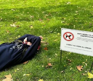 Sticker Мішган♡♡ @Stikerhi_bot - 4