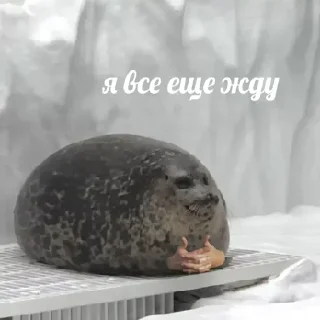 Sticker 💡 Цитаты @animerar_bot - 9