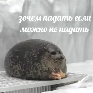 Sticker 💡 Цитаты @animerar_bot - 2