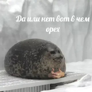 Sticker 💡 Цитаты @animerar_bot - 3