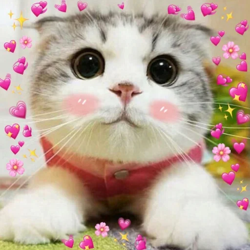 Sticker شدشد - 9