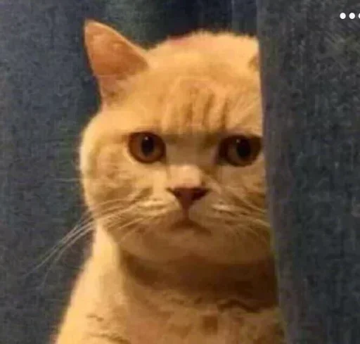 Sticker شدشد - 2