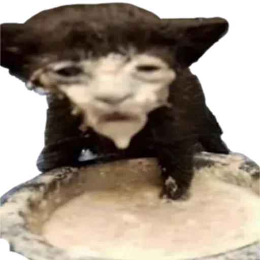 Стикер Shaitan :: @fStikBot - 8