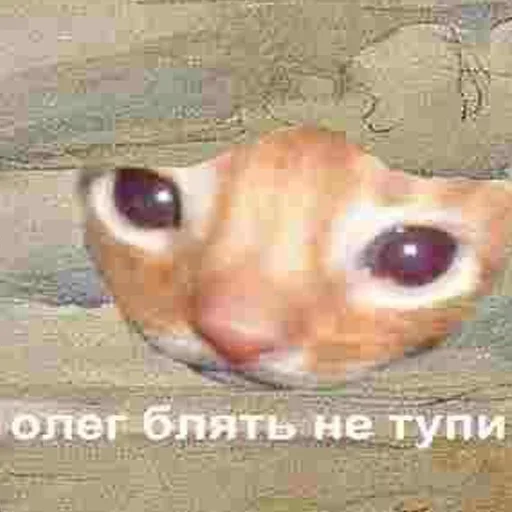 Стикер Shaitan :: @fStikBot - 6