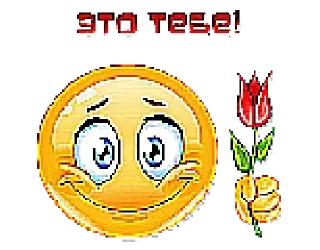 Sticker Shakal @stickersb2b - 2