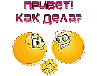 Sticker Shakal @stickersb2b - 5