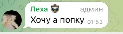 Шальные ребята - 