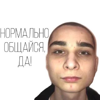 Стикер Shaminka house - 10