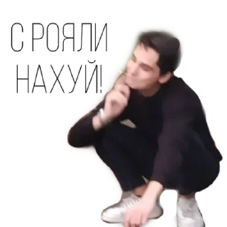 Стикер Shaminka house - 9