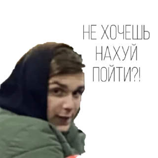 Стикер Shaminka house - 3